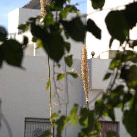 Residence Sterne Hammam al Ghazzaz 외부 사진