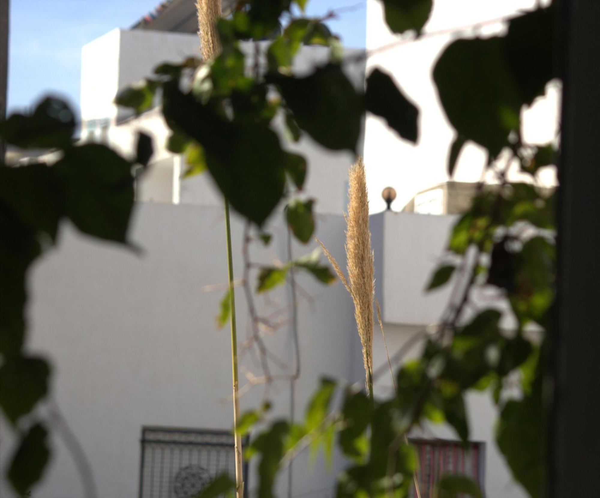 Residence Sterne Hammam al Ghazzaz 외부 사진